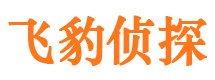 江阳市侦探调查公司